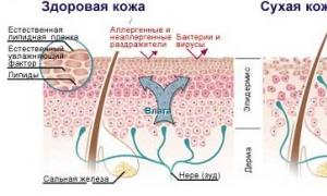 Видео: Трескается кожа на локтях у женщин