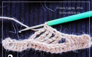 Mga crochet braids: mga diagram at paglalarawan ng mga crochet braids nang eksakto 1